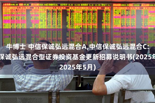 牛博士 中信保诚弘远混合A,中信保诚弘远混合C: 中信保诚弘远混合型证券投资基金更新招募说明书(2025年5月)