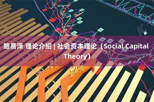 路易泽 理论介绍 | 社会资本理论（Social Capital Theory）