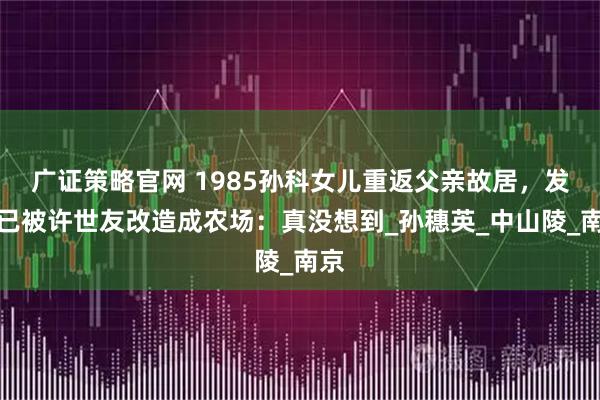 广证策略官网 1985孙科女儿重返父亲故居，发现已被许世友改造成农场：真没想到_孙穗英_中山陵_南京