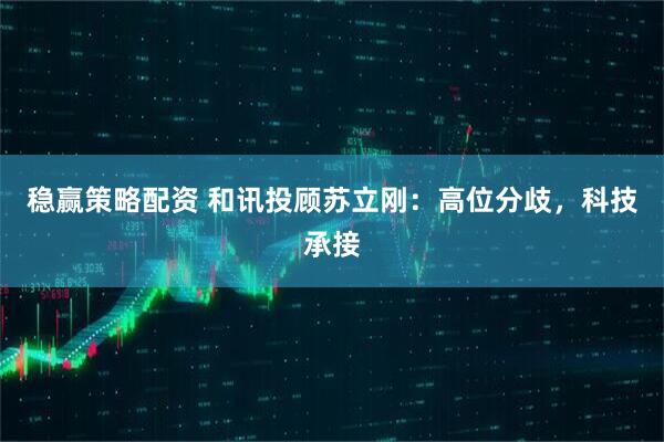 稳赢策略配资 和讯投顾苏立刚：高位分歧，科技承接