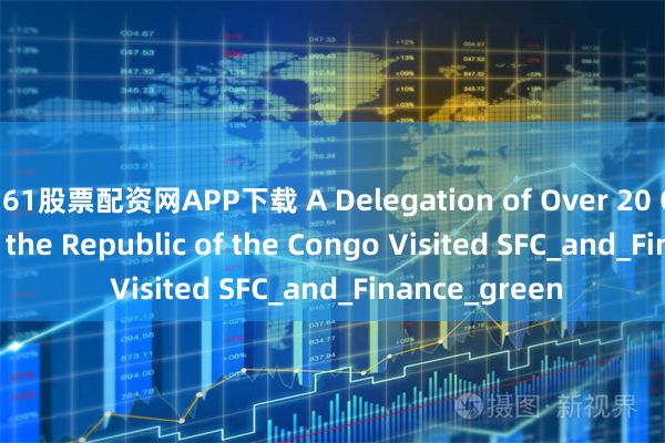 361股票配资网APP下载 A Delegation of Over 20 Officials from the Republic of the Congo Visited SFC_and_Finance_green